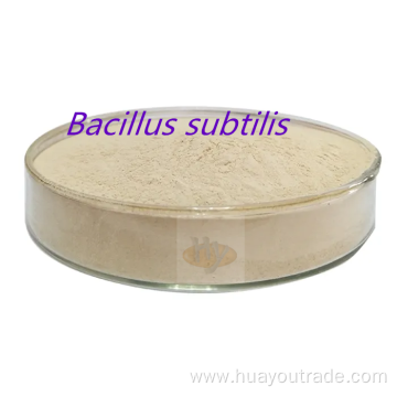 Bacillus subtilis insoluble water 200CFU/G